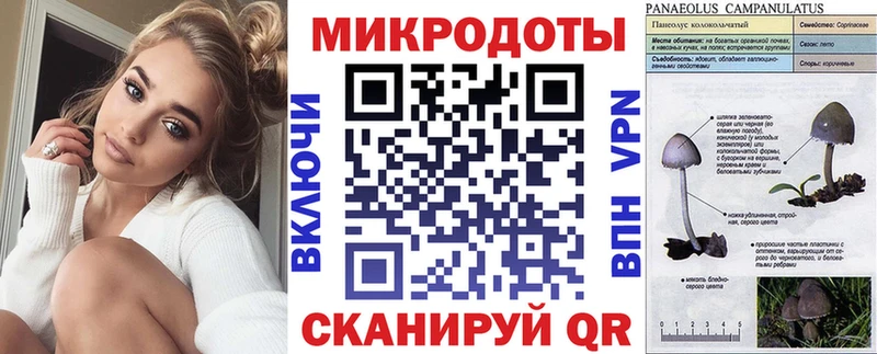 Псилоцибиновые грибы MAGIC MUSHROOMS  Пионерский 